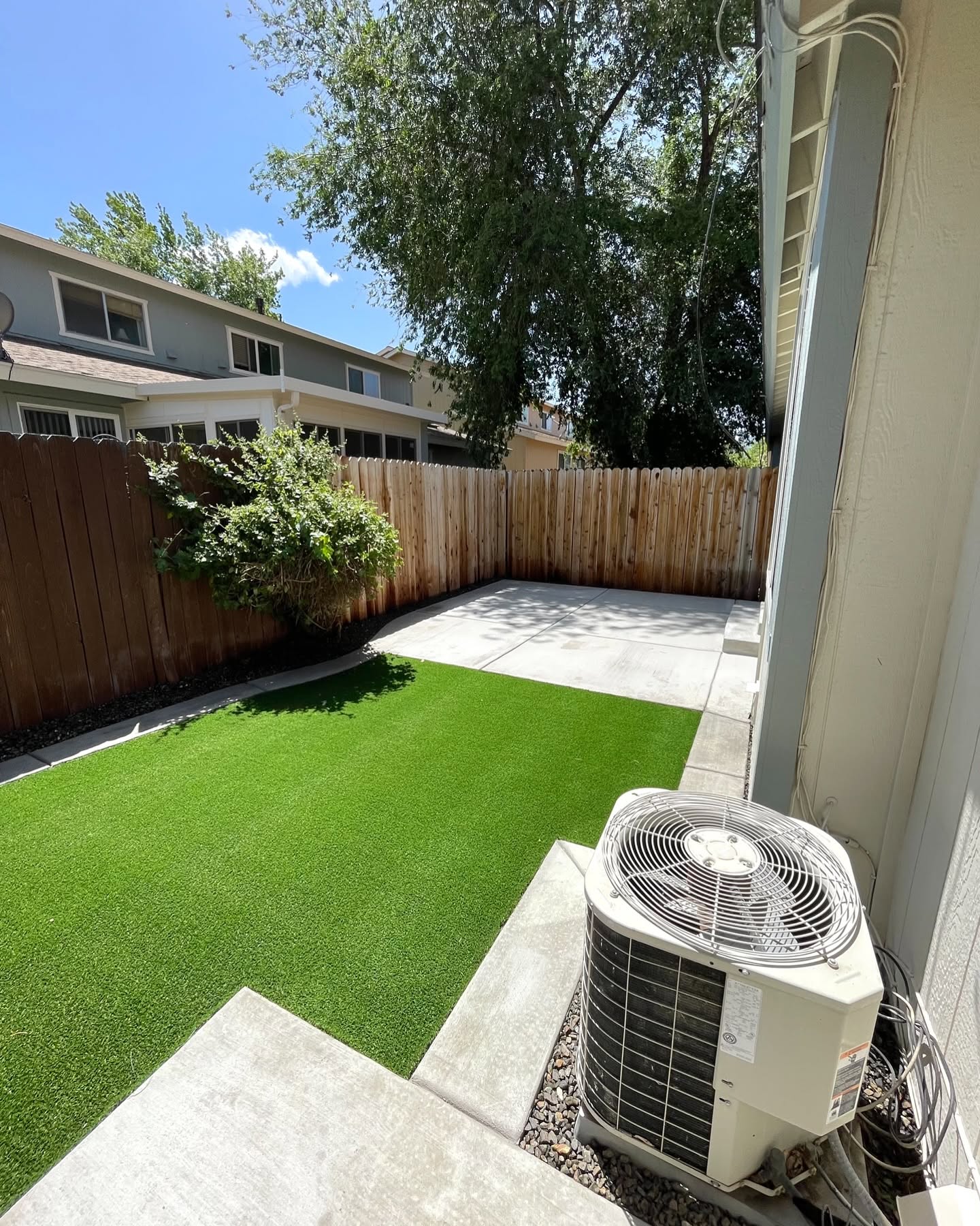 Backyard Turf & Concrete Patio — after